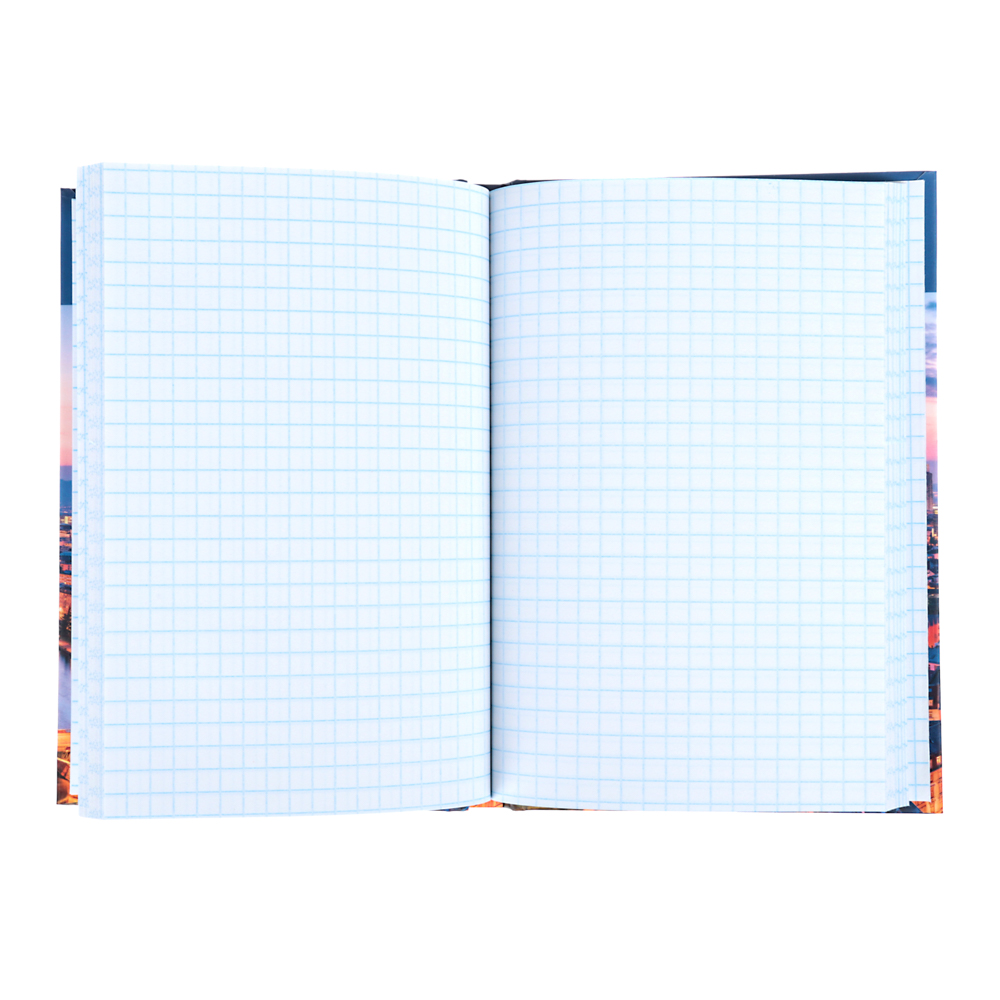 Записная книжка А6 80/96л., твердая / гибкая обложка, эффекты, в клетку, арт.№ 574-014