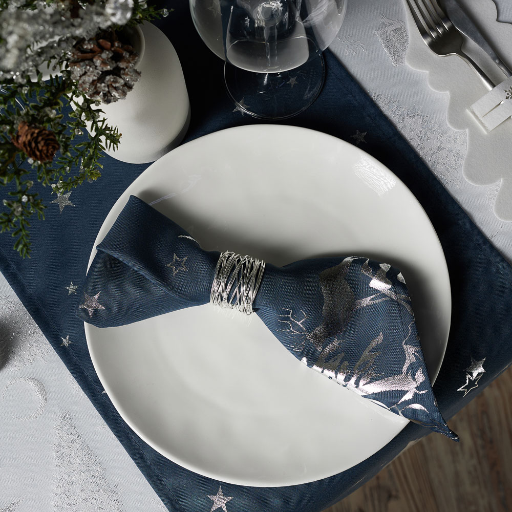 PROVANCE Ноэль Кольцо для салфеток 2шт, 100% металл, серебро, арт.№ 492-182