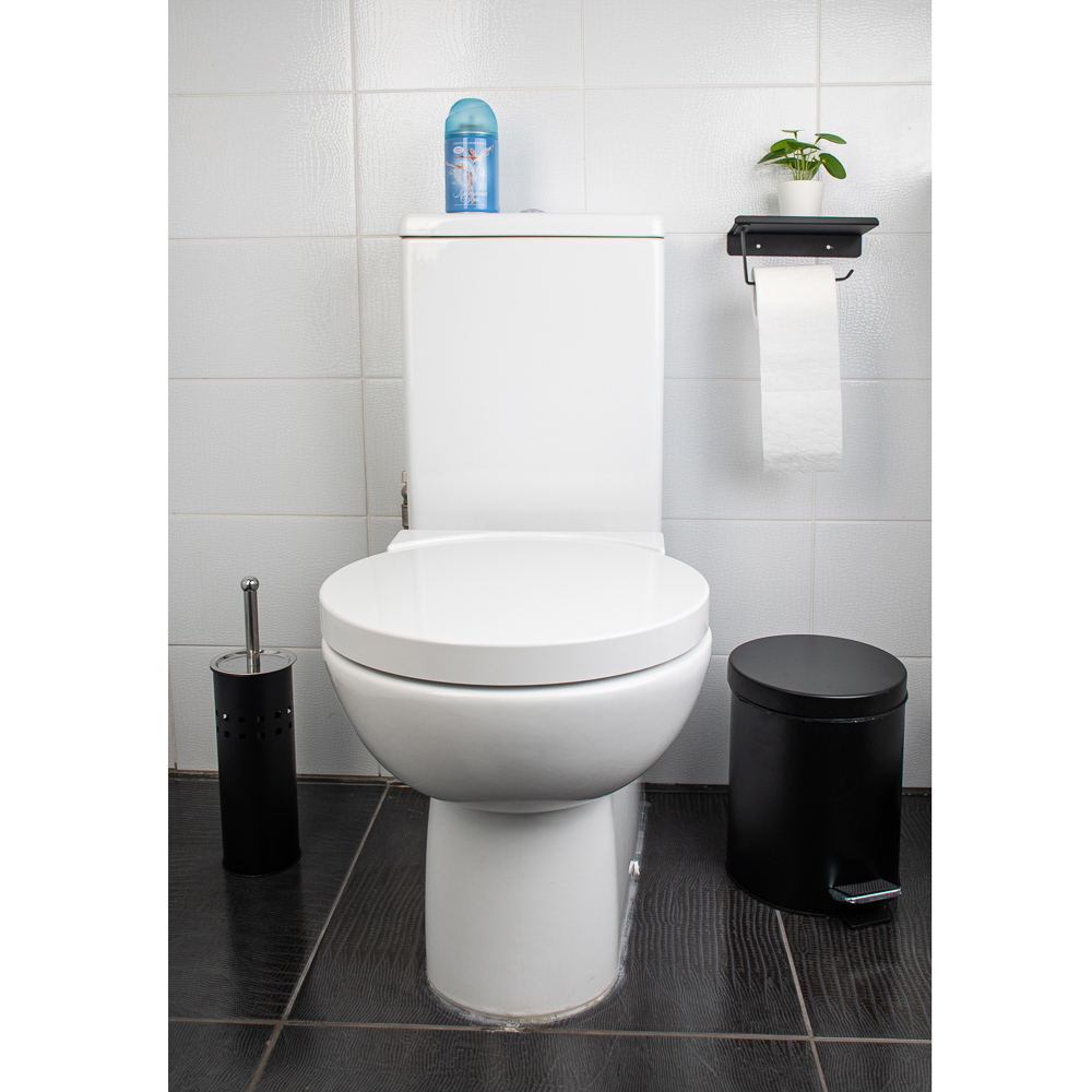 SonWelle Ёрш для туалета напольный, металл, черный, арт.№ 543-001