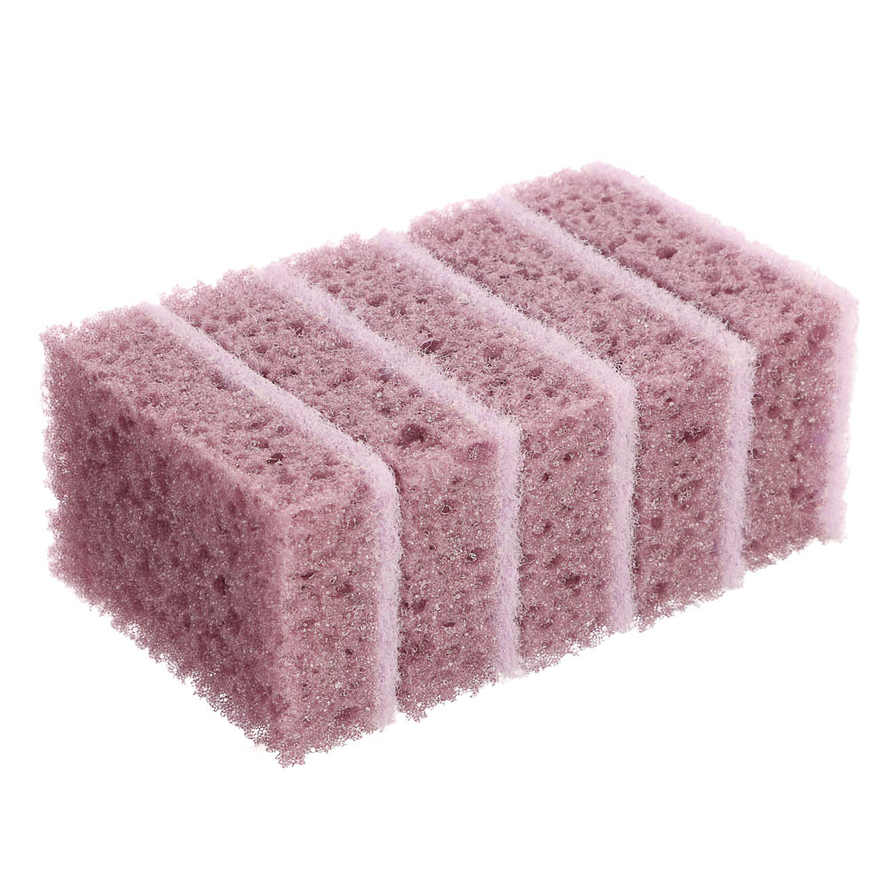 Набор губок для мытья посуды Ботаника, 98x66x30мм, поролон, 5 шт, арт.№ 441-293