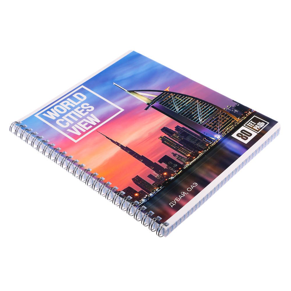 Тетрадь 80л. ClipStudio А5, в клетку, БЕЛЫЕ ЛИСТЫ, обл.картон, на спирали, арт.№ 578-005