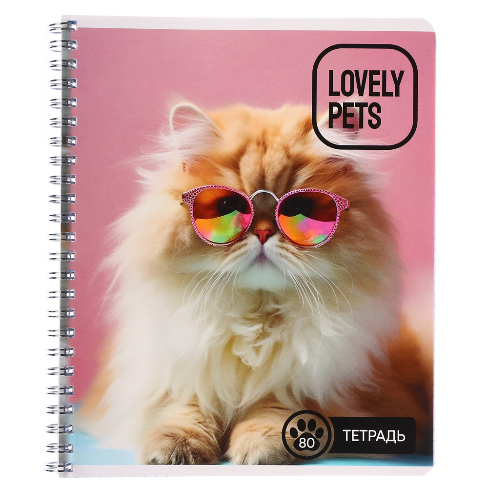 Тетрадь 80л. ClipStudio А5, в клетку, БЕЛЫЕ ЛИСТЫ, обл.картон, на спирали, арт.№ 578-005