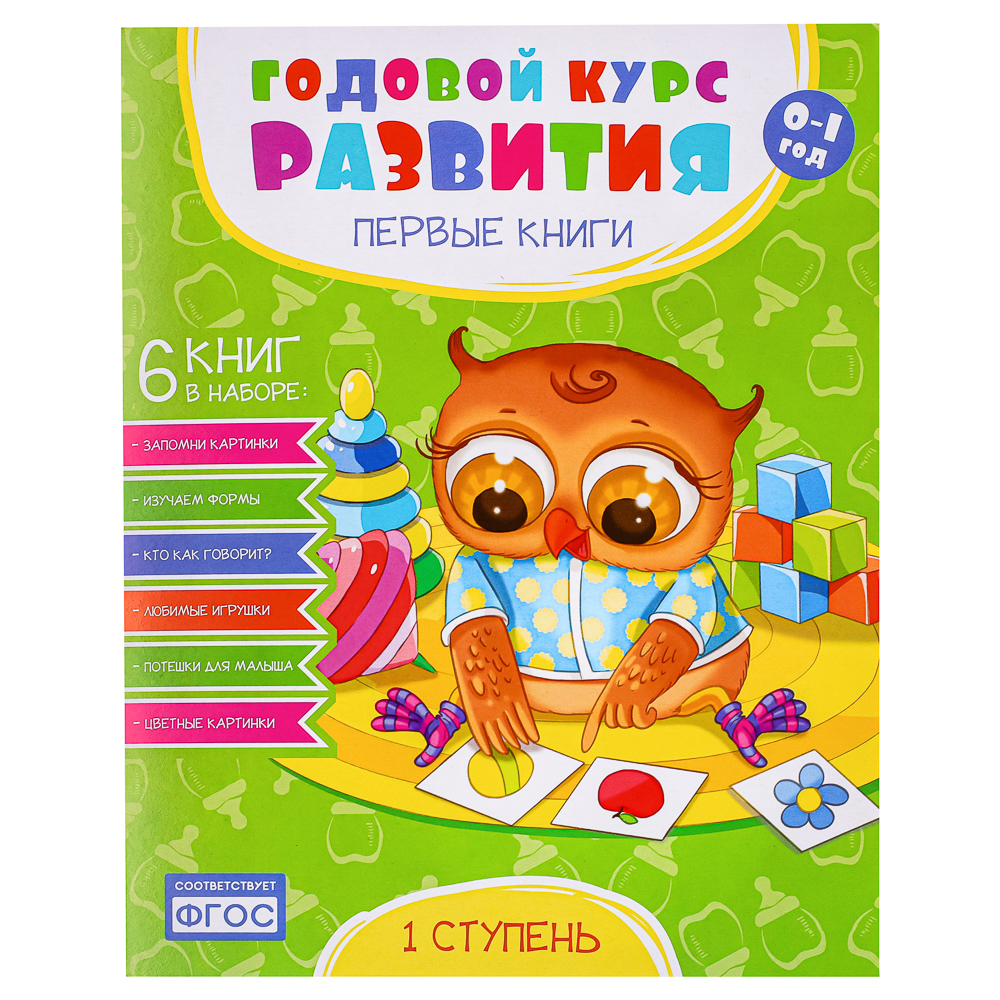 Набор книг Годовой курс развития "Первые книжки" 6 книг, бумага, картон, 14х21см, 3 дизайна, арт.№ 857-134