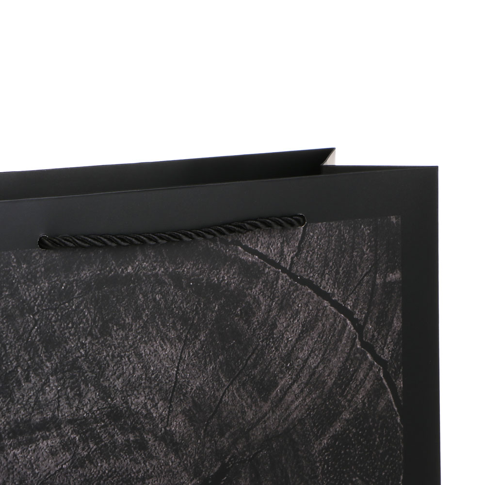 Пакет подарочный бумажный тм LADECOR L 26x32x10 см, для мужчин арт 1, 4 дизайна, арт.№ 507-469