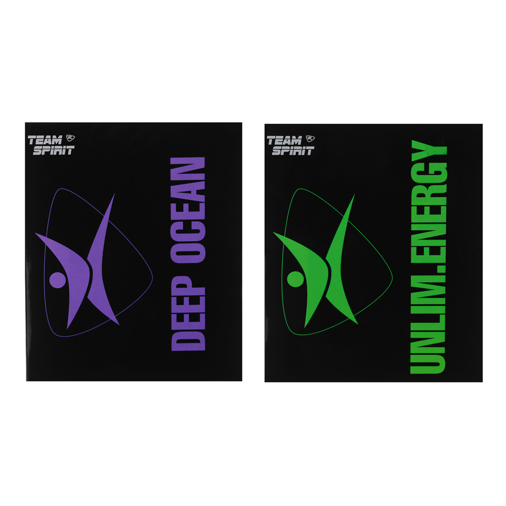 Набор подарочный мужской Team Spirit (шампунь 250мл, гель для душа 250мл), арт.№ 954-022