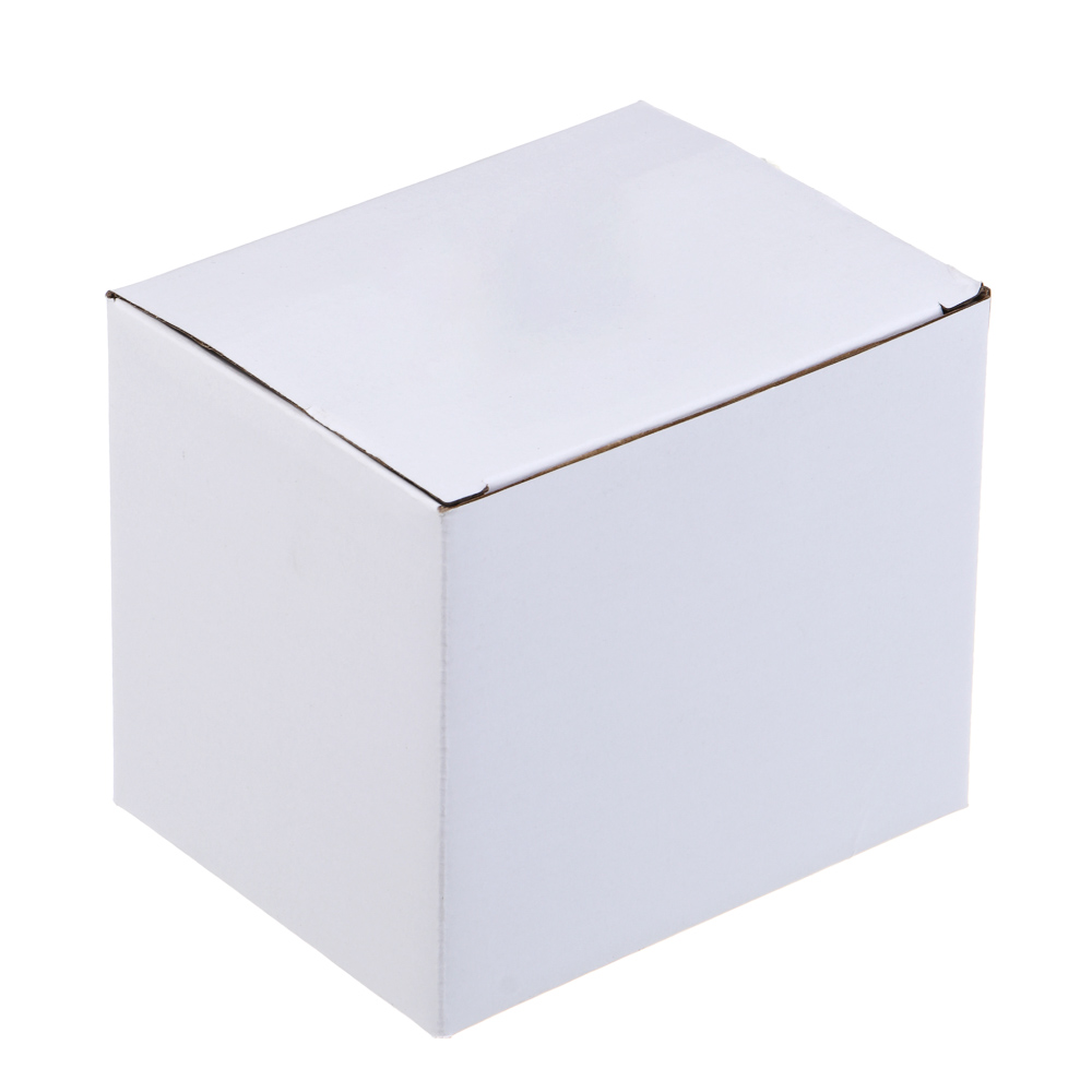 СНОУ БУМ Сувенир Символ Года, полистоун, 4х2,5х5 см, 2 дизайна, арт.№ 398-831