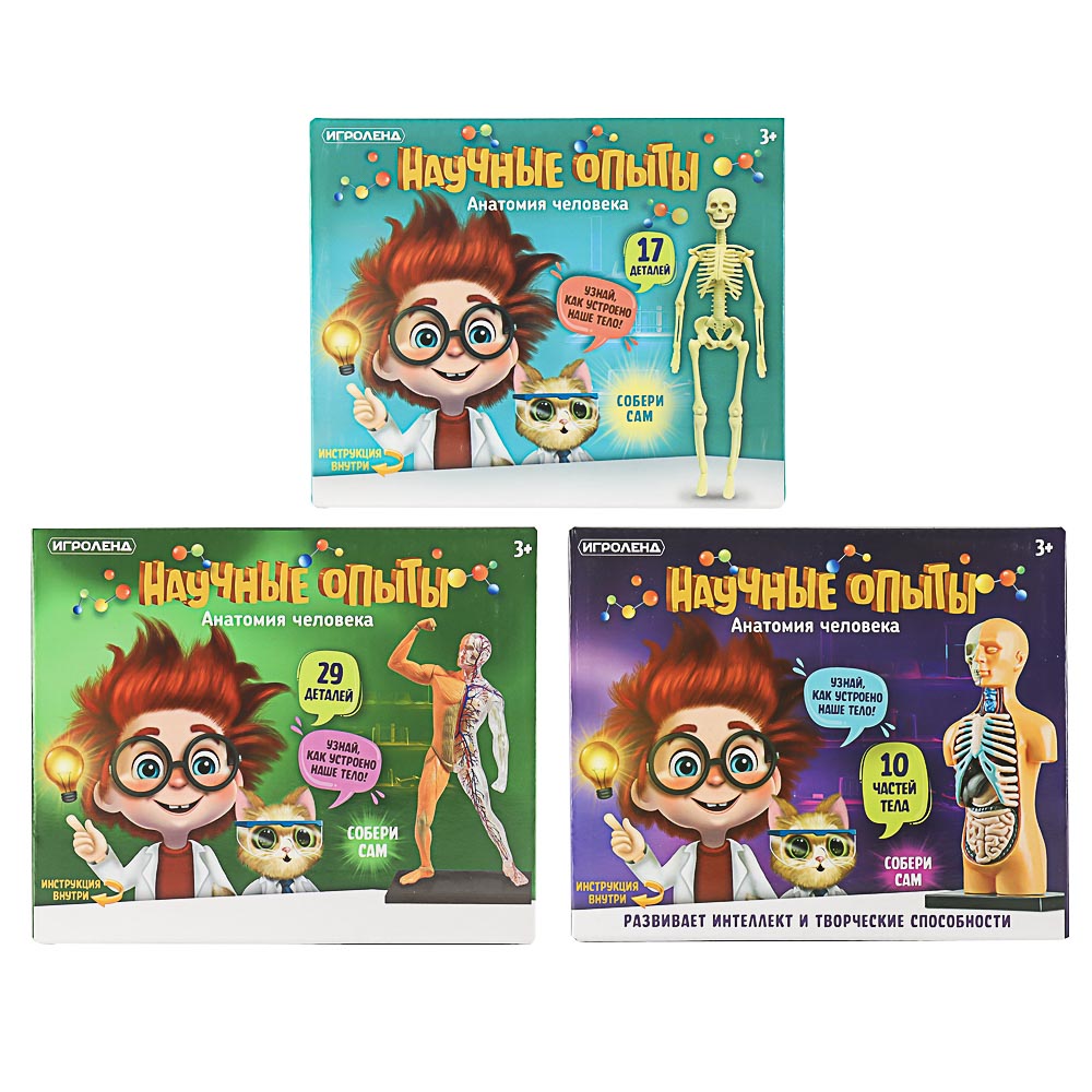 ИГРОЛЕНД Научные опыты "Анатомия человека", ABS, 22,5х16,6х6см, 3 дизайна, арт.№ 283-113
