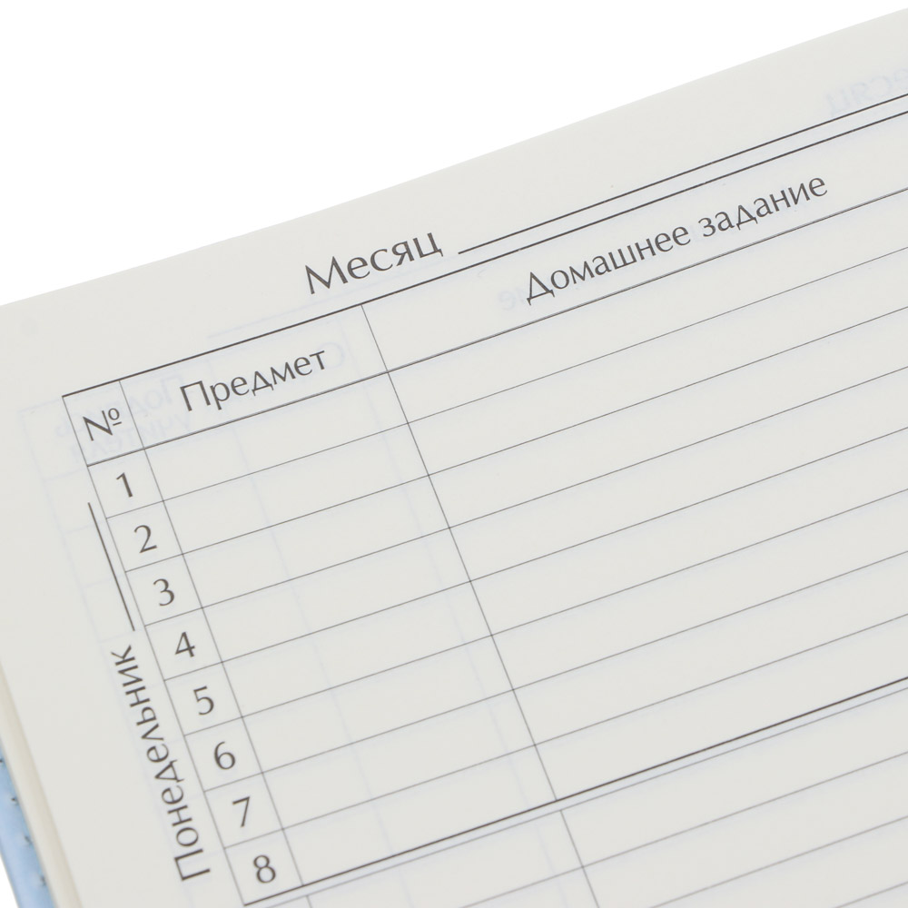 Умка Дневник школьный ПРЕМИУМ, А5+ (20,8*16,5см), 48л., тв.обл. с порол., иск.кожа с печатью, закл., арт.№ 805-029