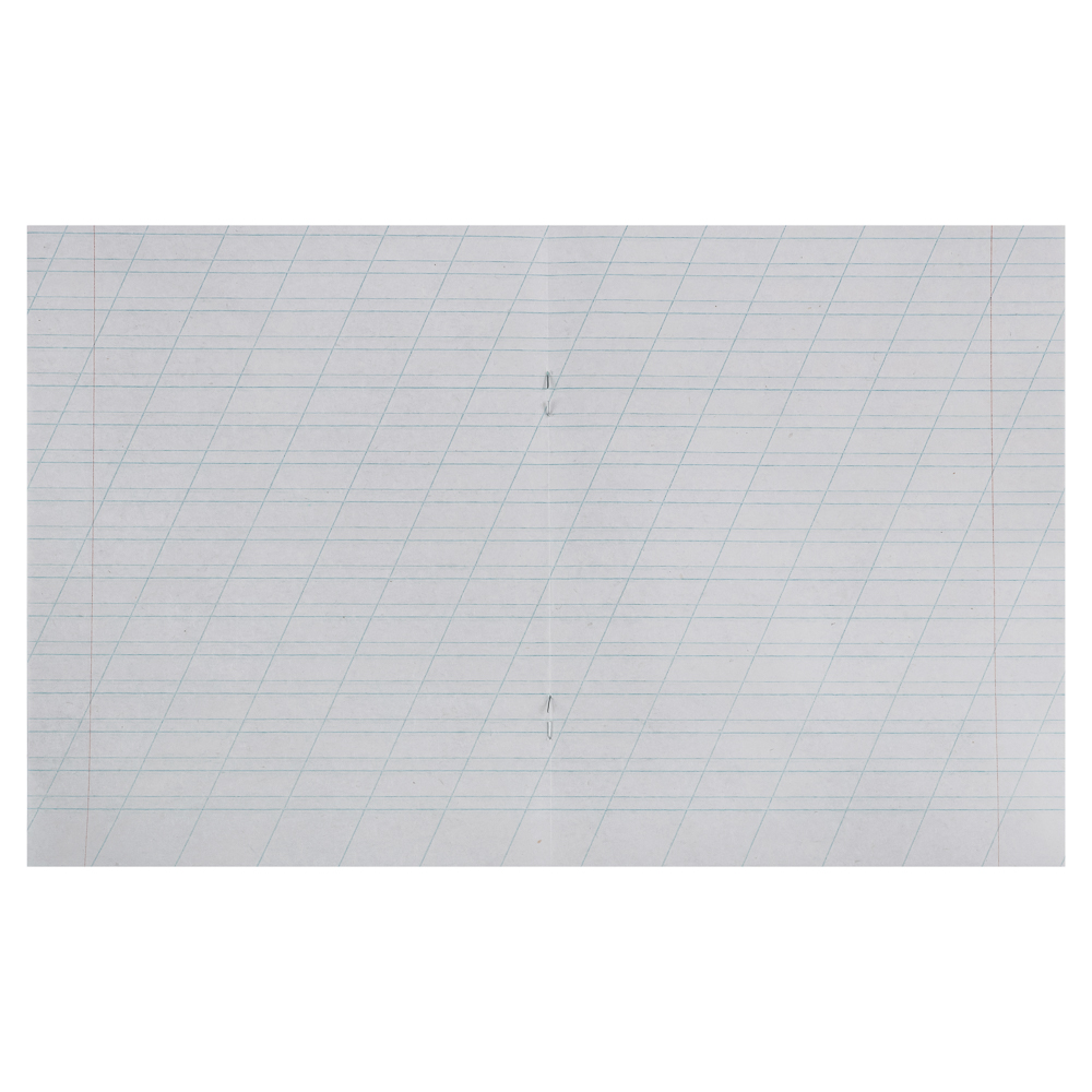 Тетрадь школьная 12л. в линейку косую, блок №2, зеленая обл., скрепка, арт.№ 583-211