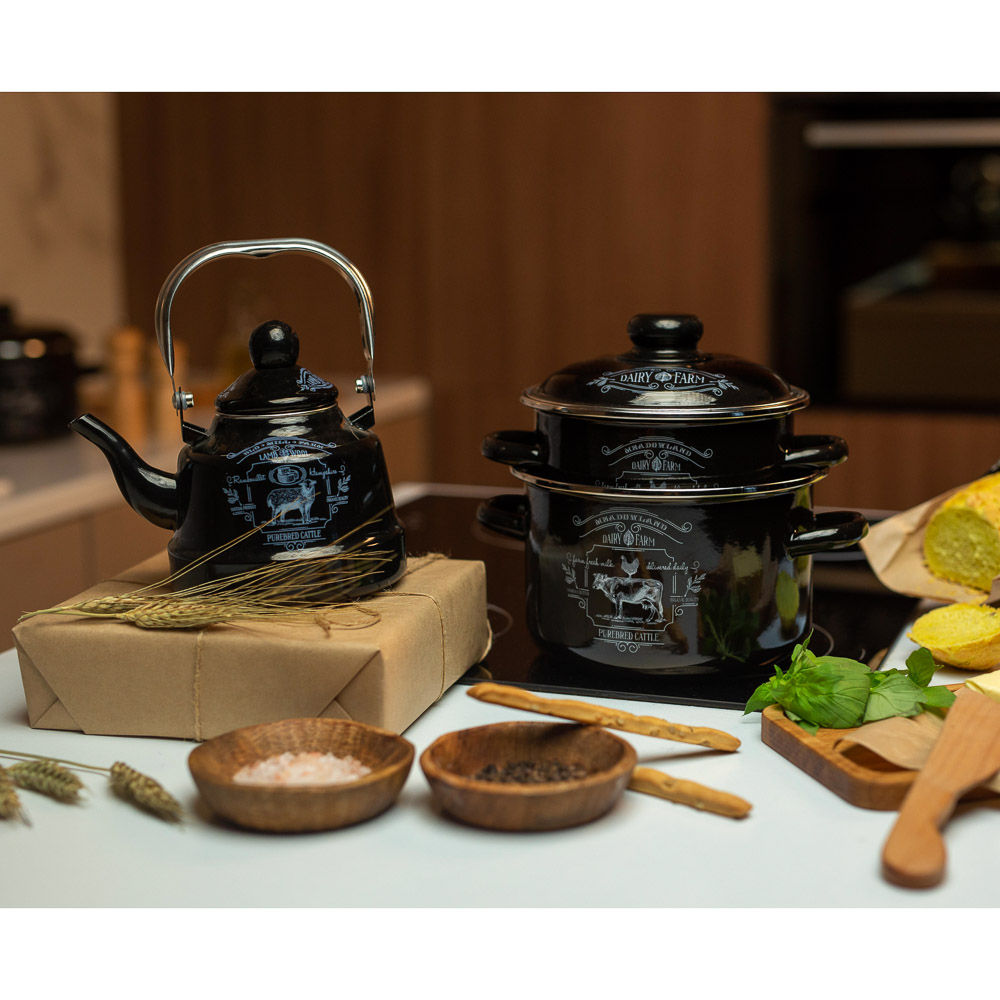 VETTA Ранчо Чайник эмалированный 1,1 л, 3 дизайна, индукция, арт.№ 894-484