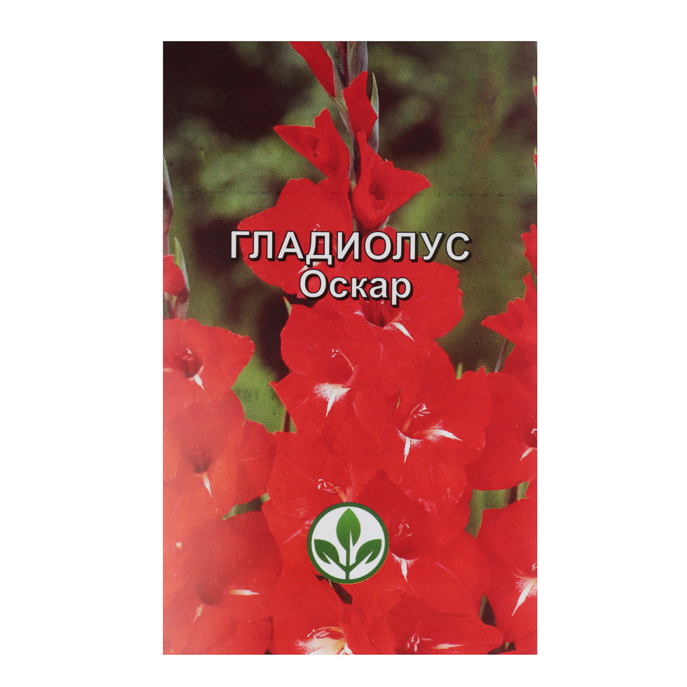 Луковица Гладиолус в ассортименте (в упаковке 3 шт), арт.№ 179-132