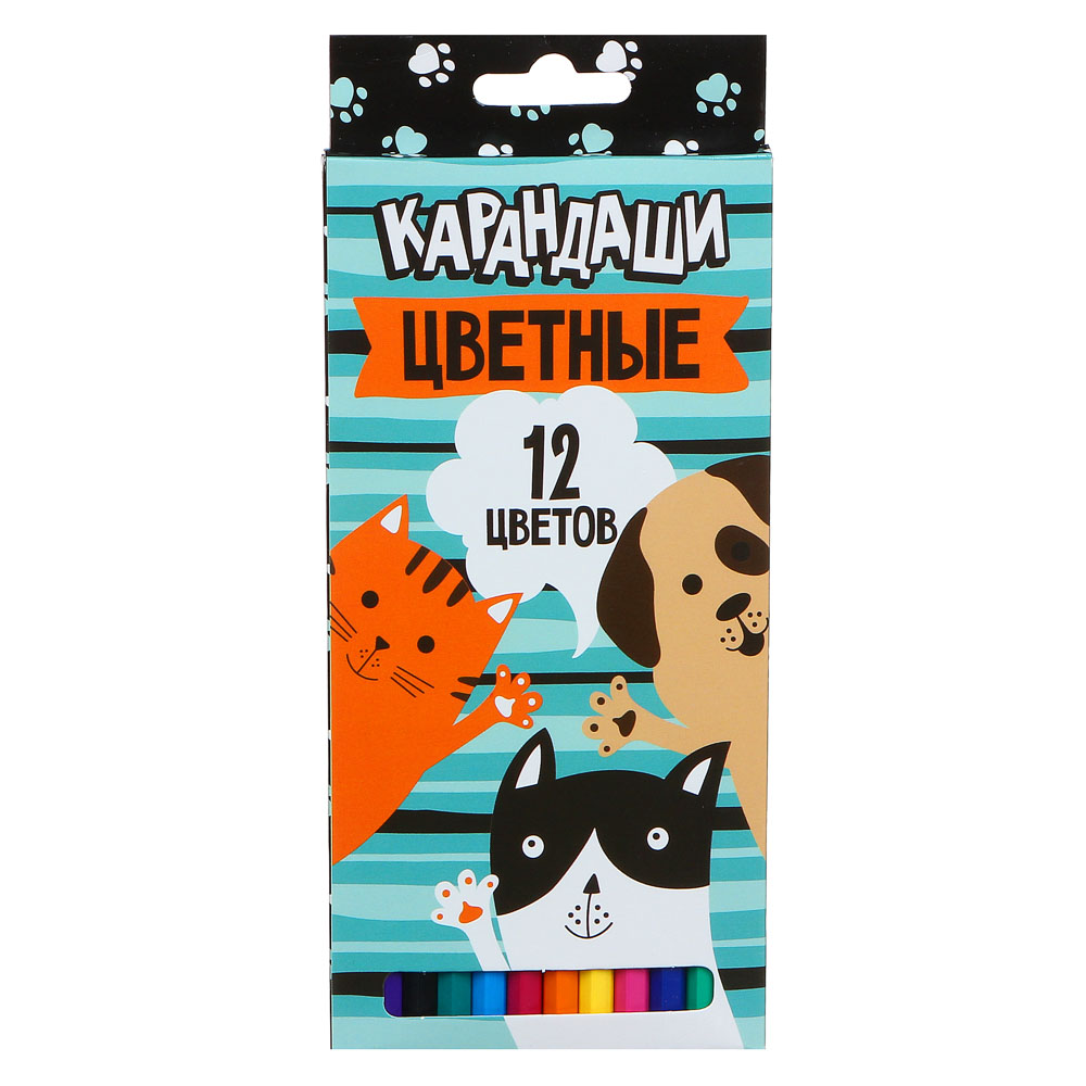 ХЭВ Э НАЙС ДЭЙ Карандаши 12 цветов шестигранные заточенные, улучшенное письмо, пластик, в карт.кор., арт.№ 228-182