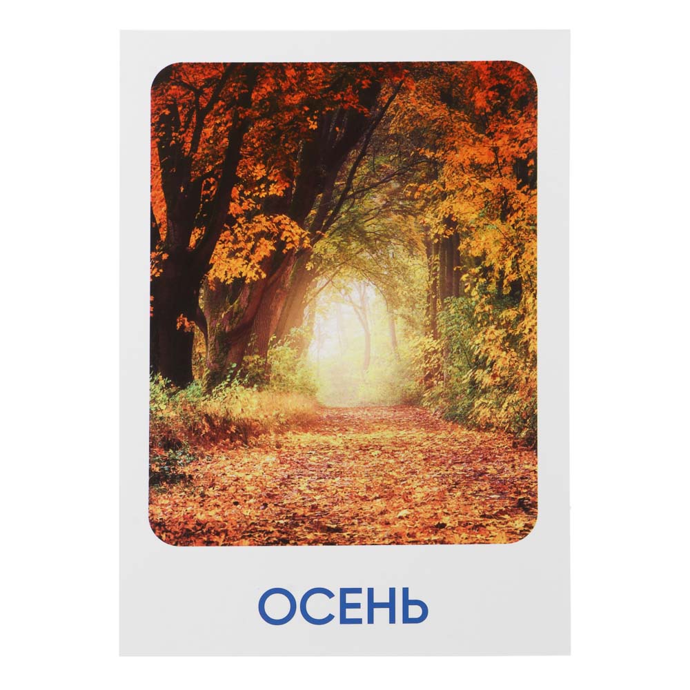 ИГРОЛЕНД Карточки развивающие "Окружающий мир", картон, 15х21,5см, 16 дизайнов, арт.№ 857-163