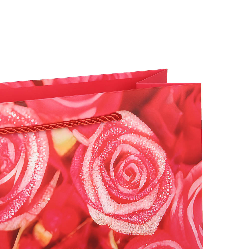 Пакет подарочный бумажный тм LADECOR, L 26x32x10 см, "Цветы" арт 1, 6 дизайнов, арт.№ 507-479