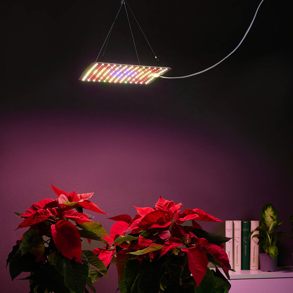 INBLOOM Подвесная фитолампа 169LED (W28; Y84; R41; B8; G8), 25х25см, 45Вт, 220В (24В), IP20, арт.№ 185-088