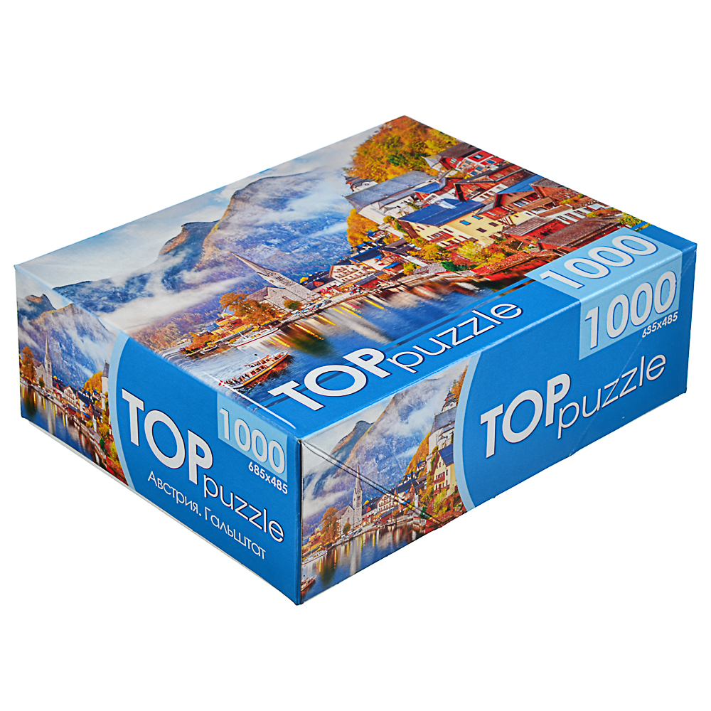 РЫЖИЙ КОТ Пазлы TOPpuzzle, 1000 деталей, картон, 19х15x6,7см, 8-12 дизайнов, арт.№ 898-017