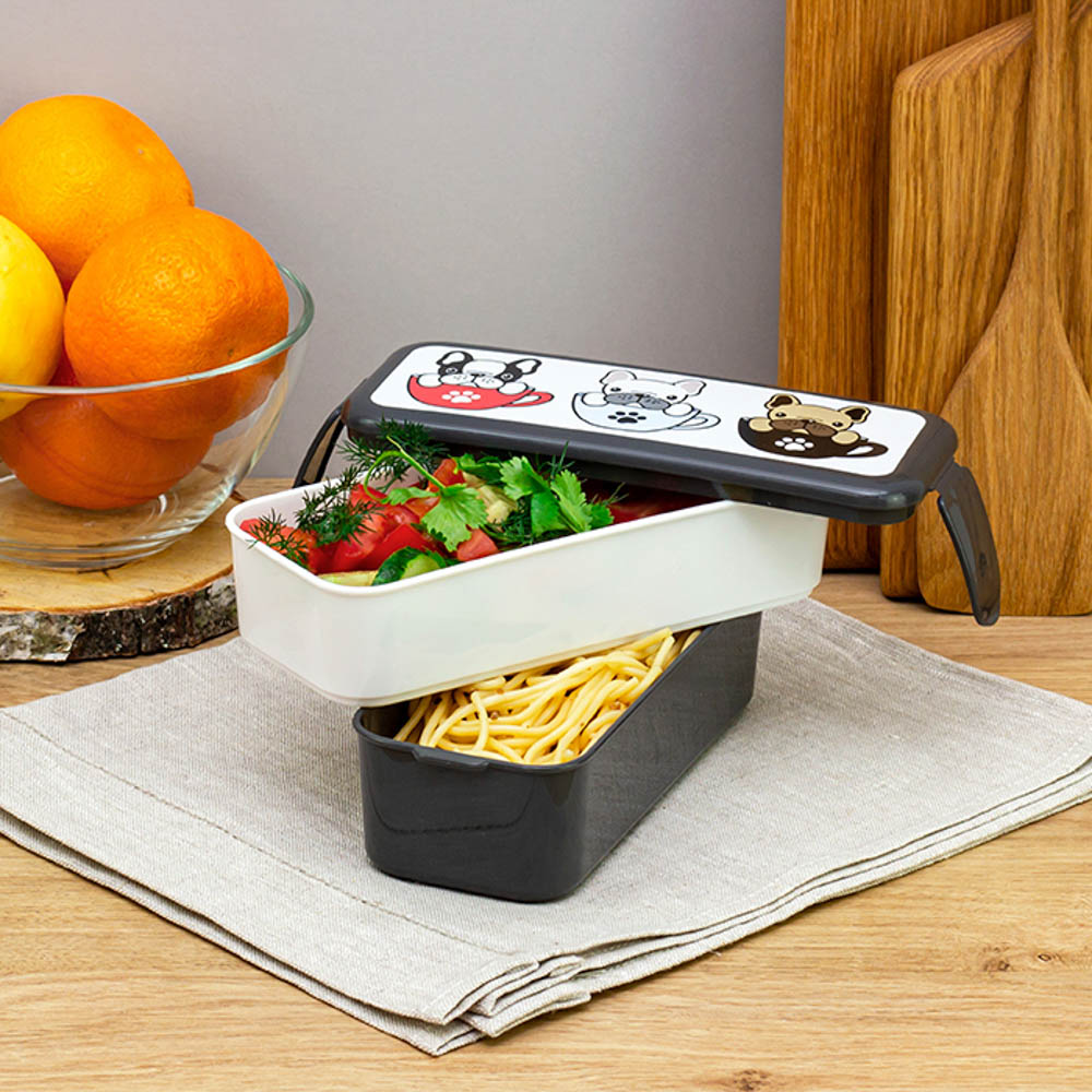 Ланч-бокс 2 секции (0,5л+0,5л), 19х8х9,5см, с декором, пластик, арт.№ 861-373