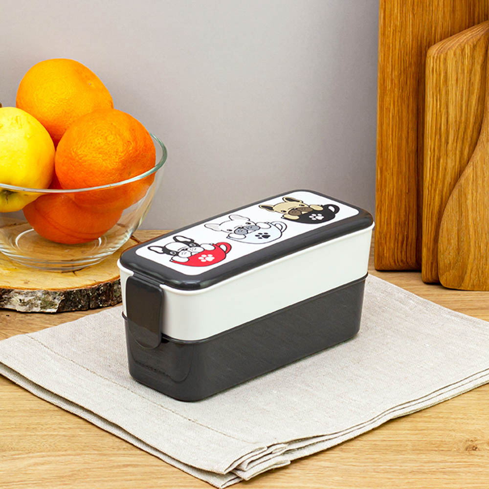 Ланч-бокс 2 секции (0,5л+0,5л), 19х8х9,5см, с декором, пластик, арт.№ 861-373