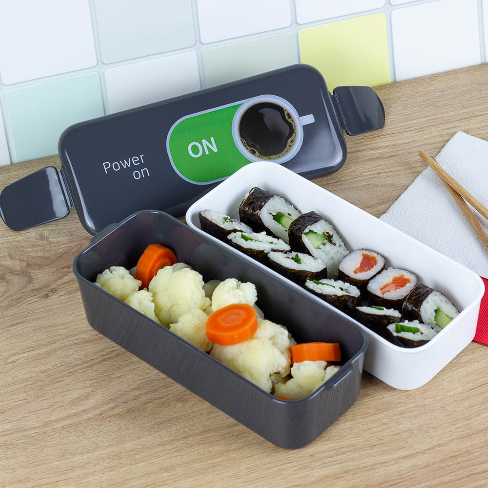 Ланч-бокс 2 секции (0,5л+0,5л), 19х8х9,5см, с декором, пластик, арт.№ 861-373