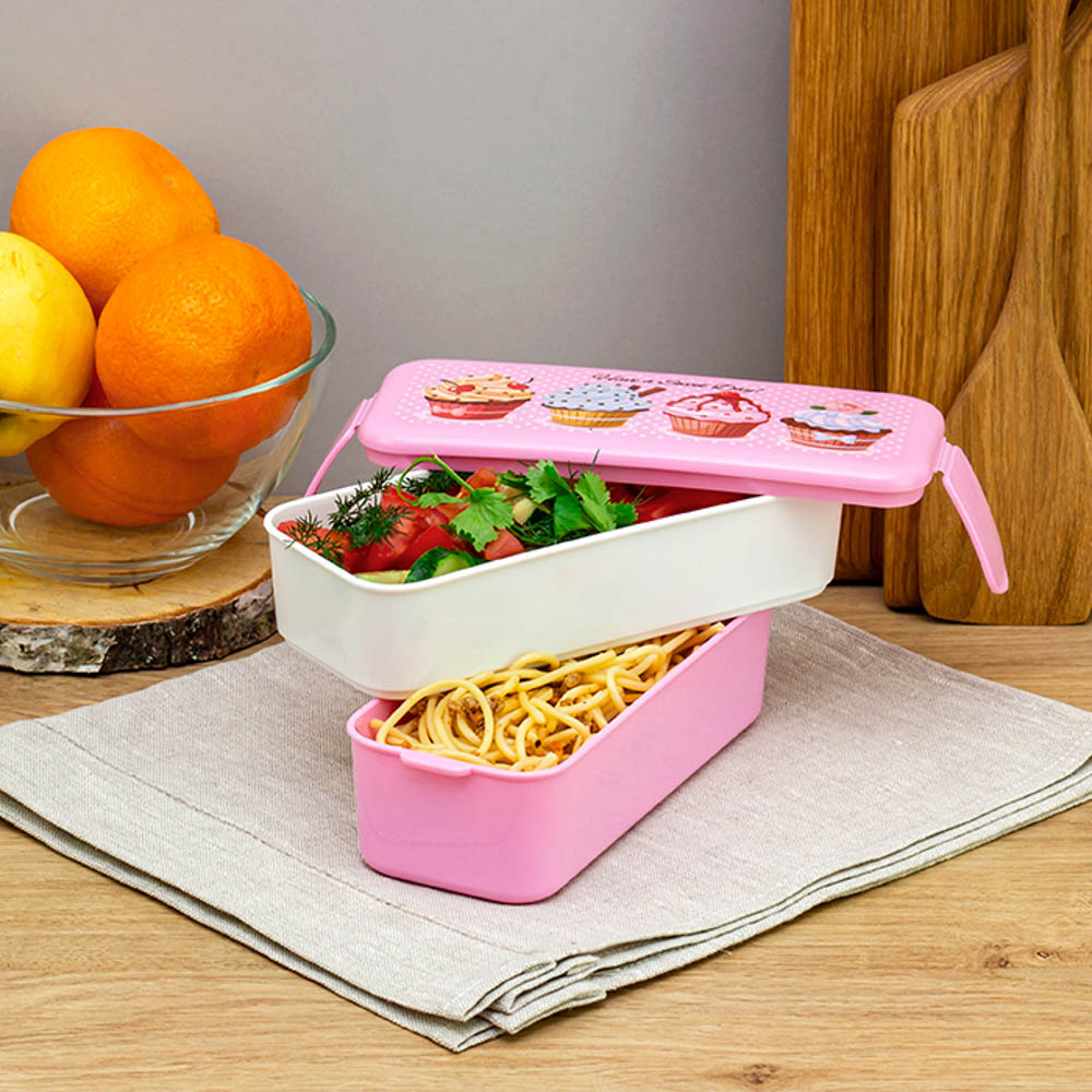 Ланч-бокс 2 секции (0,5л+0,5л), 19х8х9,5см, с декором, пластик, арт.№ 861-373